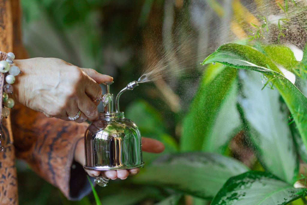 Hygrométrie : pourquoi et comment brumiser son terrarium